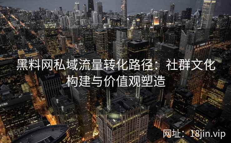 黑料网私域流量转化路径：社群文化构建与价值观塑造