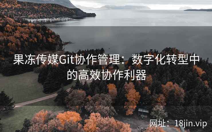 果冻传媒Git协作管理：数字化转型中的高效协作利器