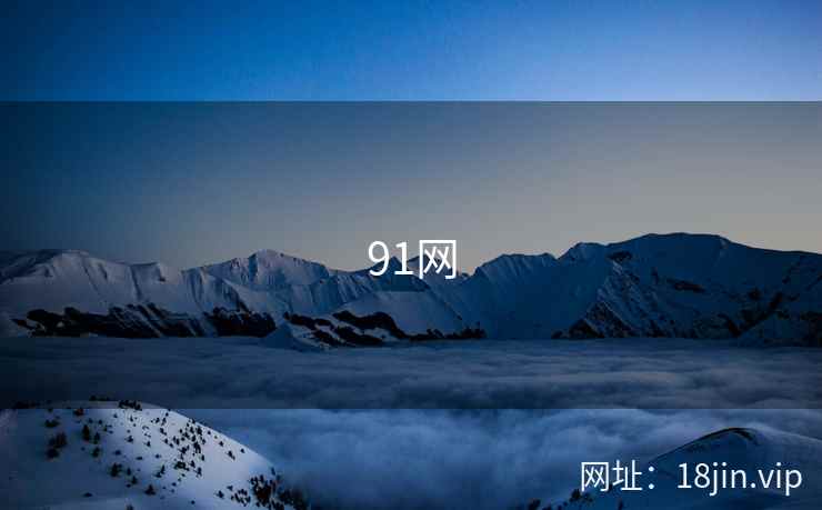 91网