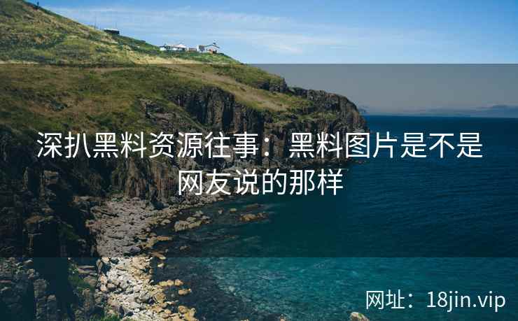 深扒黑料资源往事：黑料图片是不是网友说的那样