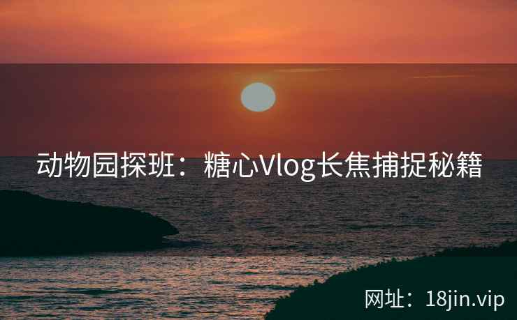 动物园探班：糖心Vlog长焦捕捉秘籍