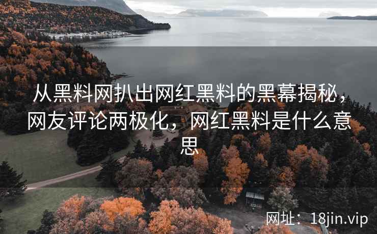 从黑料网扒出网红黑料的黑幕揭秘，网友评论两极化，网红黑料是什么意思