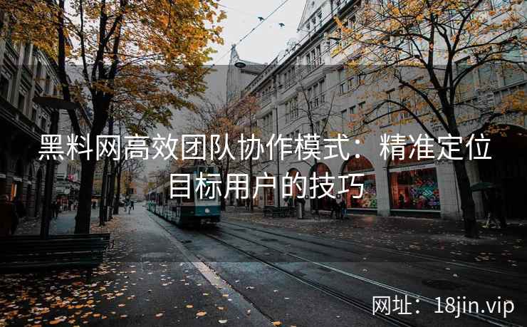 黑料网高效团队协作模式:精准定位目标用户的技巧
