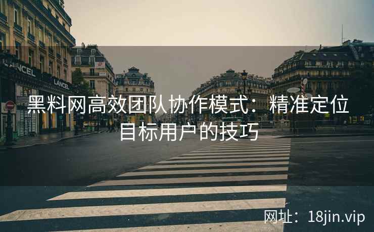 黑料网高效团队协作模式：精准定位目标用户的技巧