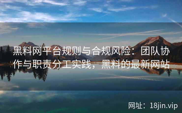 黑料网平台规则与合规风险：团队协作与职责分工实践，黑料的最新网站