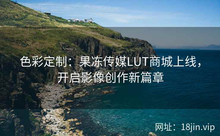 色彩定制：果冻传媒LUT商城上线，开启影像创作新篇章