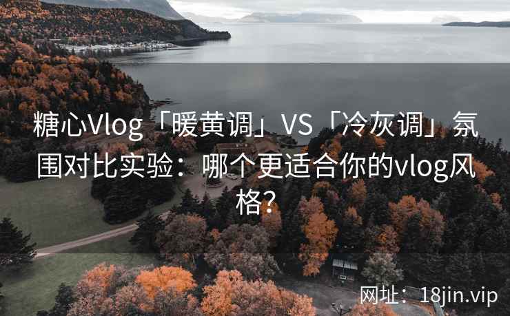 糖心Vlog「暖黄调」VS「冷灰调」氛围对比实验：哪个更适合你的vlog风格？