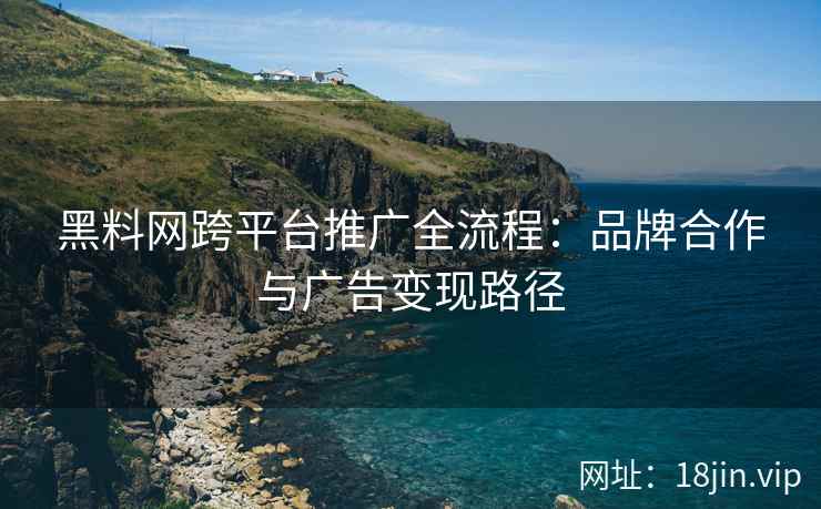 黑料网跨平台推广全流程：品牌合作与广告变现路径