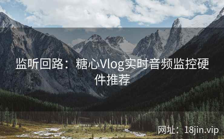 监听回路：糖心Vlog实时音频监控硬件推荐