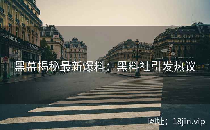 黑幕揭秘最新爆料：黑料社引发热议