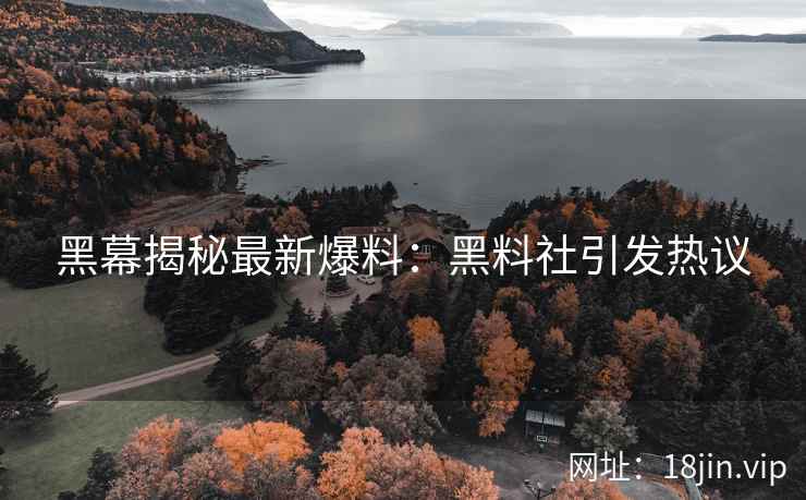 黑幕揭秘最新爆料：黑料社引发热议