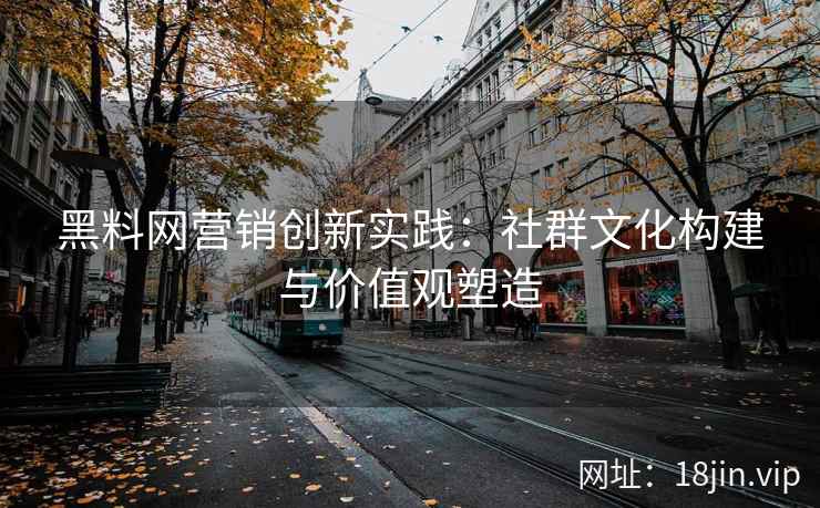 黑料网营销创新实践：社群文化构建与价值观塑造