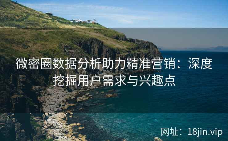 微密圈数据分析助力精准营销：深度挖掘用户需求与兴趣点