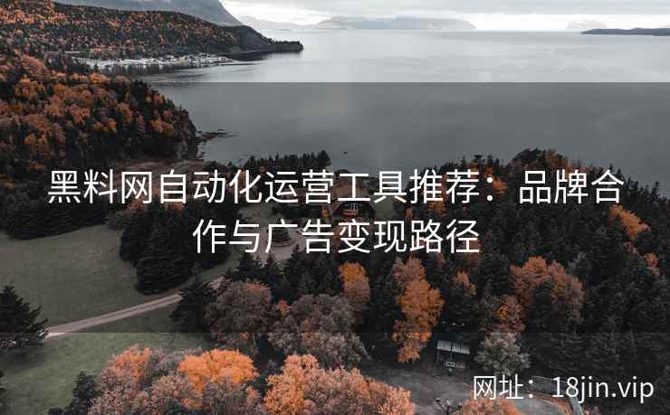 黑料网自动化运营工具推荐：品牌合作与广告变现路径