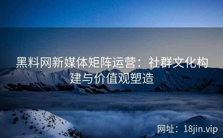 黑料网新媒体矩阵运营：社群文化构建与价值观塑造