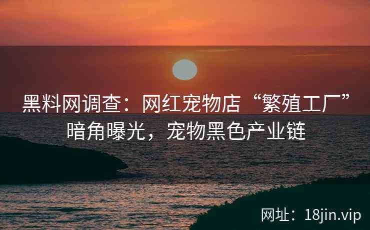 黑料网调查：网红宠物店“繁殖工厂”暗角曝光，宠物黑色产业链
