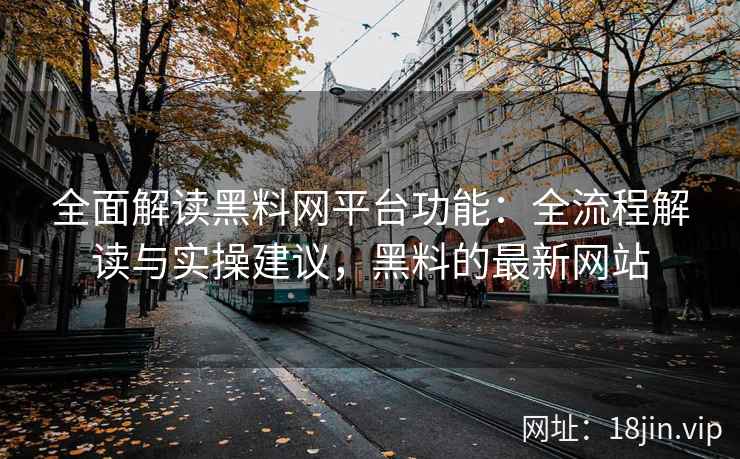 全面解读黑料网平台功能：全流程解读与实操建议，黑料的最新网站